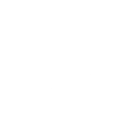 White pixelated icon of a delivery truck with motion lines, on a black background, representing fast or express shipping.